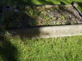 image of grave number 946786
